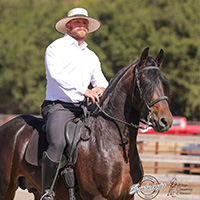 Image of Adam Olejniczak Working Equitation